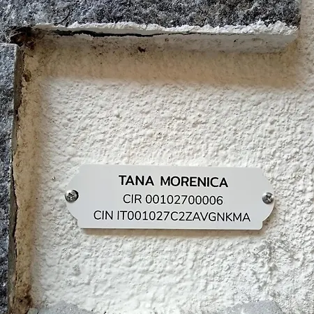 Tana Morenica Daire Bollengo